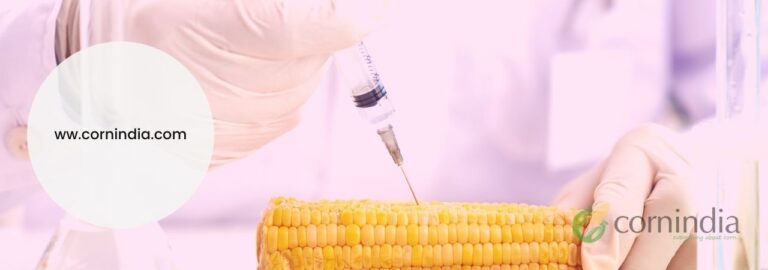 Genetic Variability Studies for Morphological, Qualitative and Quantitative Parameters in Sweet Corn
