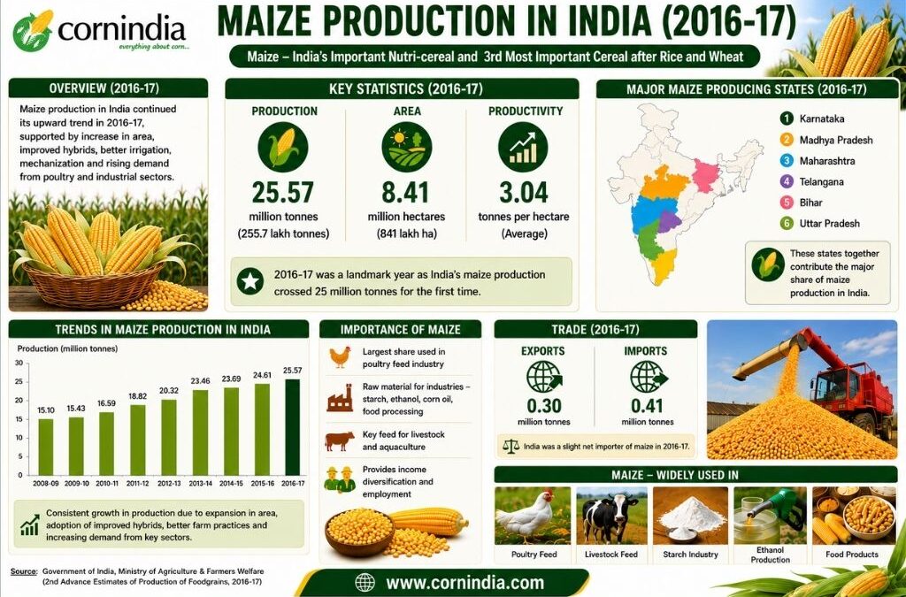 Maize Production in India 2016-17
