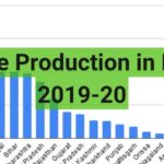 MAize Production India 2019 20