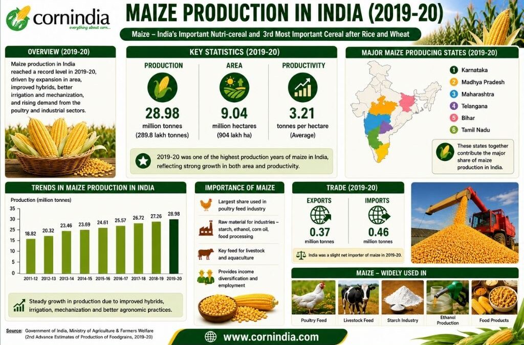 Maize Production in India 2019-20