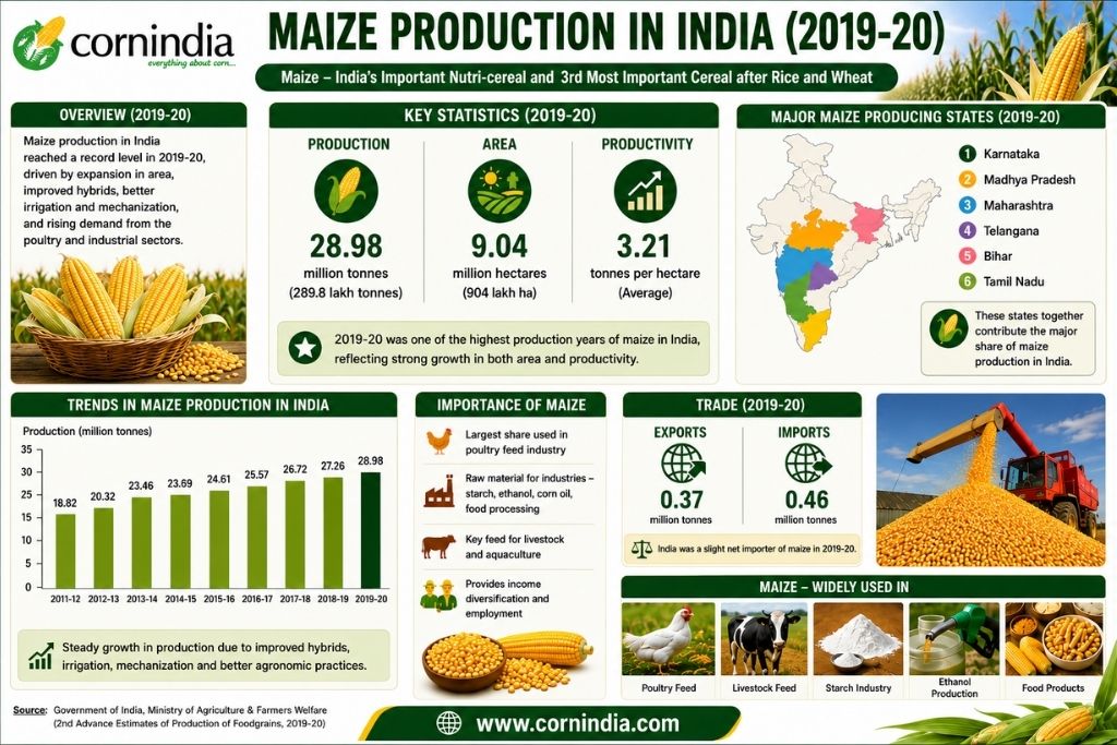Maize Production in India 2019-20