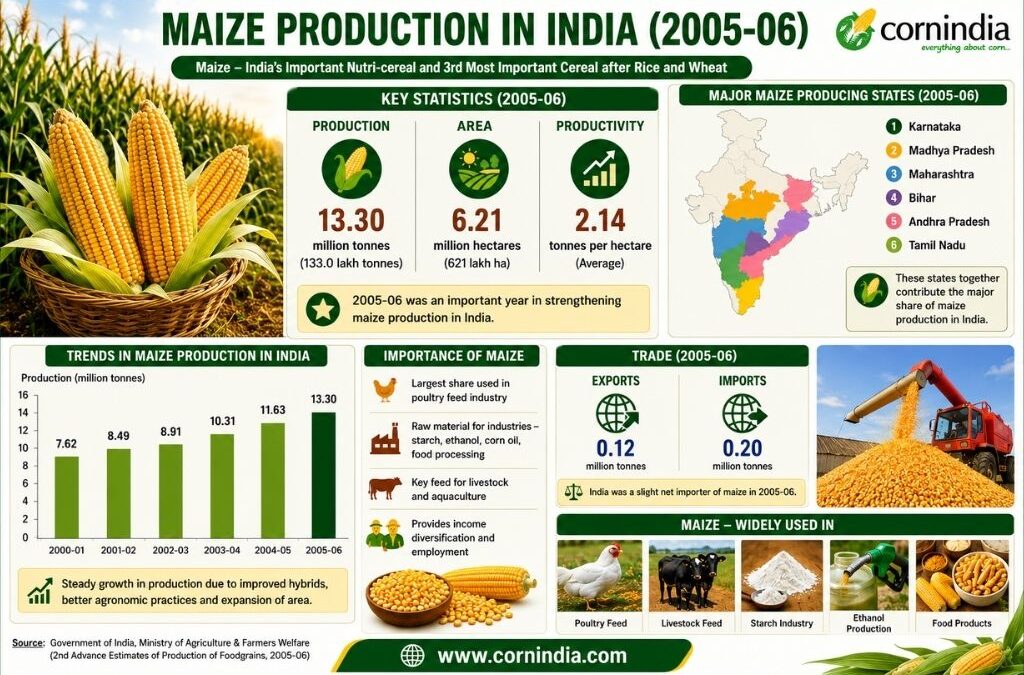 Maize Production in India 2005-06