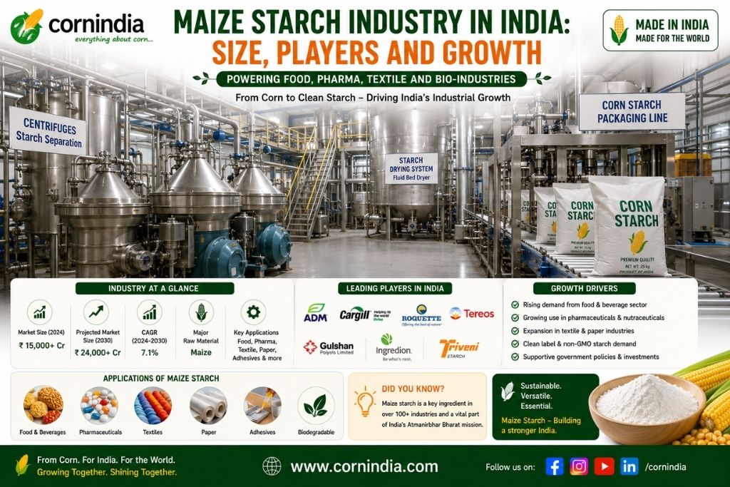 Maize Starch Industry in India